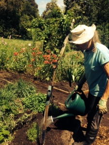 Donna tending the garden